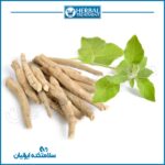 مکمل گیاهی بدنسازی آشواگاندا - مرکز سلامتکده ایرانیان