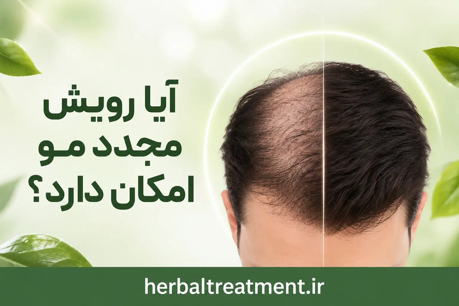 آیا رویش مجدد مو امکان دارد؟
