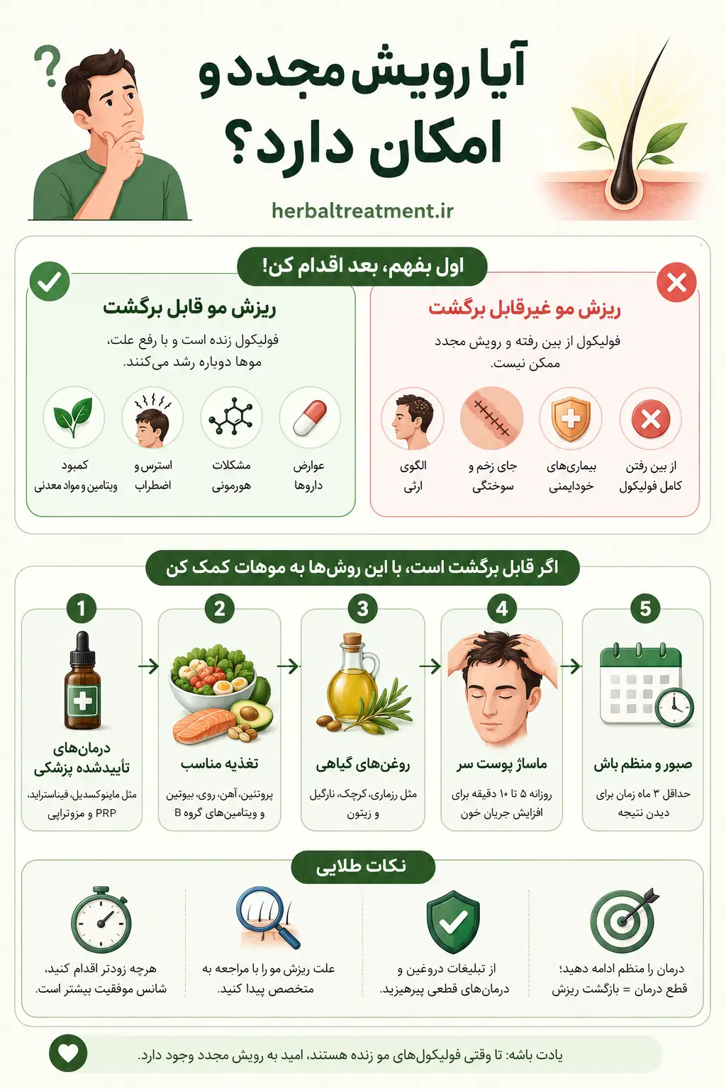 چرخه زندگی مو را بشناسید؛ مقدمهای بر رویش مجدد