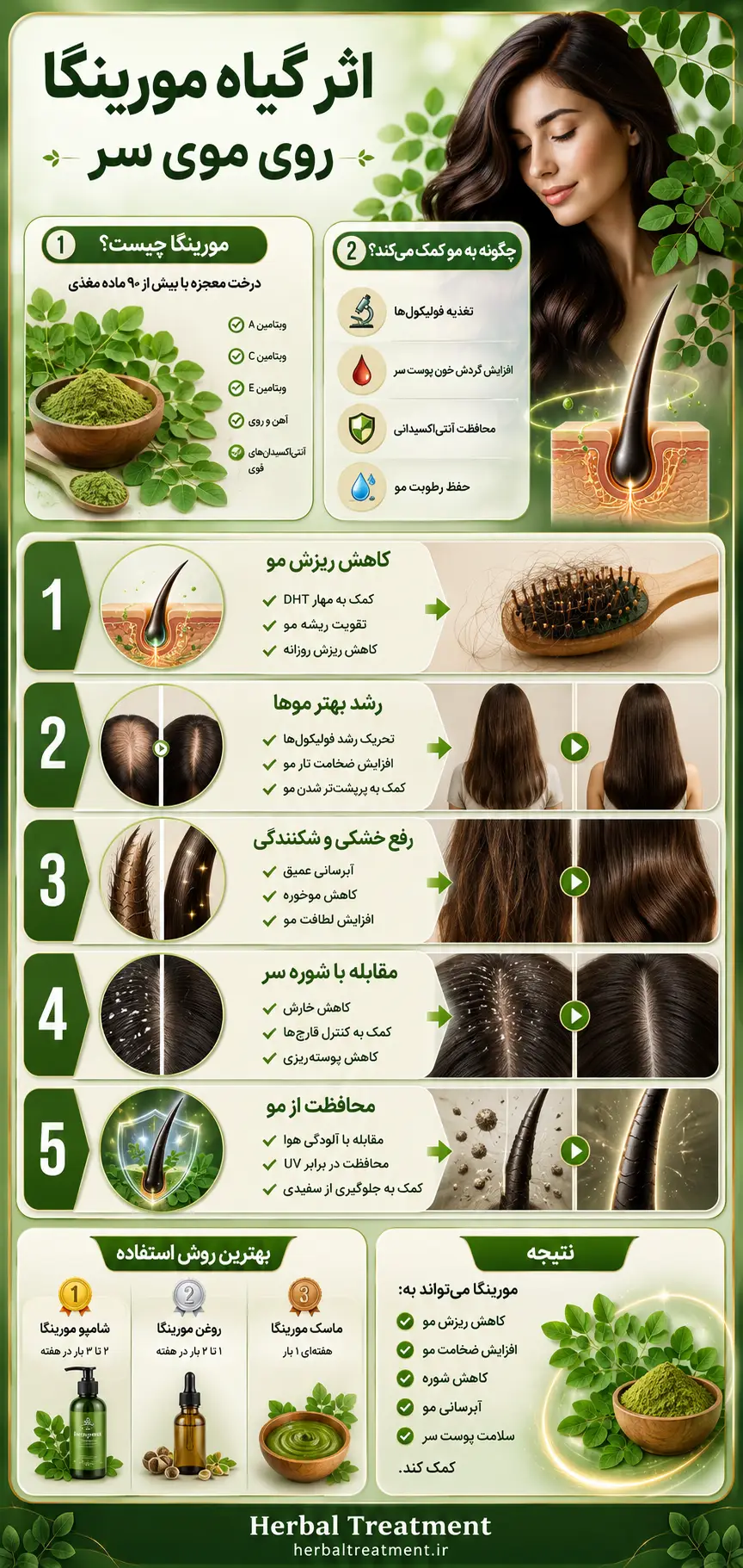 گیاه مورینگا چیست